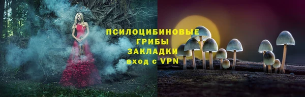 дмт Алексеевка